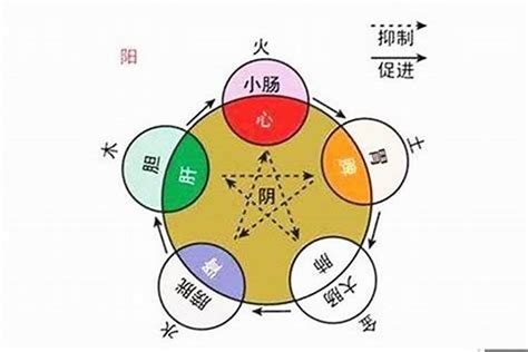 自己 五行 屬性|如何知道一個人的五行屬什么